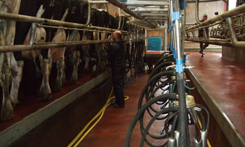 Milking Station: Courtesy FRS network Milking Station: Courtesy FRS network